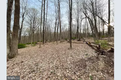 421 River Road, Pipersville, PA 18947 - Photo 9