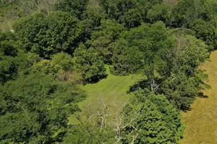 6185 Mechanicsville, New Hope, PA 18938 - Photo 9