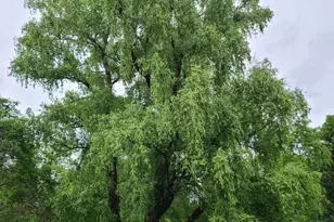 3889 Robin Rd, Furlong, PA 18925 - Photo 43