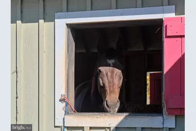 1515 Sugar Bottom Road, Furlong, PA 18925 - Photo 95