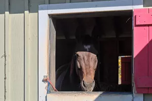 1515 Sugar Bottom Rd, Furlong, PA 18925 - Photo 95