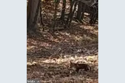 410 Wharf Road #RIVER COTTAGE, Bensalem, PA 19020 - Photo 57