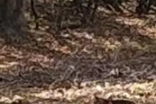 410 Wharf Rd, Bensalem, PA 19020 - Photo 57