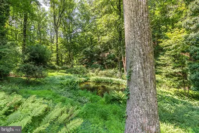 6615 Greenhill Road, Lumberville, PA 18933 - Photo 67