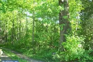 0 Tammany 0 Tammany Rd, Upper Black Eddy, PA 18972 - Photo 1