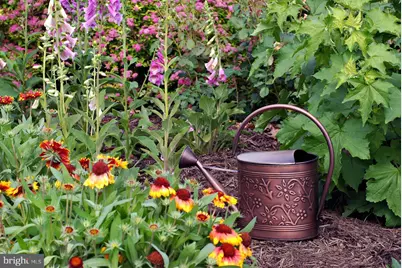 0 Tammany 0 Tammany Road, Upper Black Eddy, PA 18972 - Photo 3