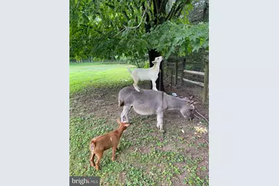 232 Wrights Road, Newtown, PA 18940 - Photo 19