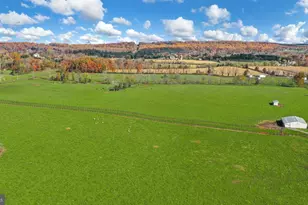 1315 Pineville Rd, New Hope, PA 18938 - Photo 47