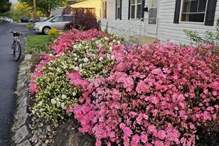 2304 Brownsville Rd, Feasterville-Trevose, PA 19053 - Photo 1