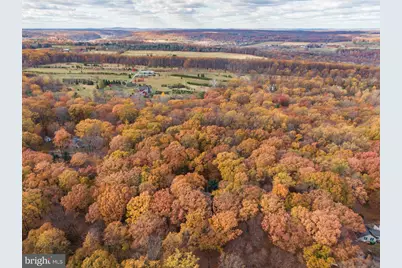 6950 Upper York Road, New Hope, PA 18938 - Photo 57