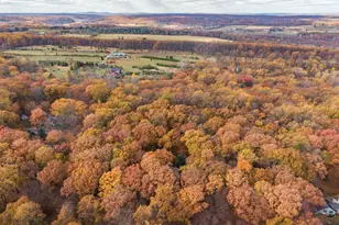 6950 Upper York Rd, New Hope, PA 18938 - Photo 57