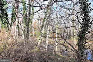 1302 Yardley Commons, Yardley, PA 19067 - Photo 25