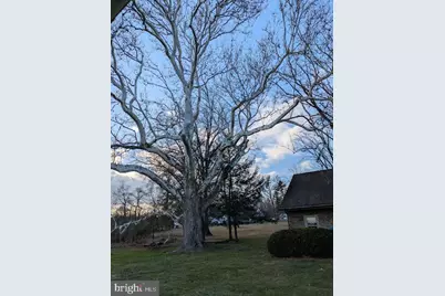 4936 Curly Hill Road, Doylestown, PA 18902 - Photo 97