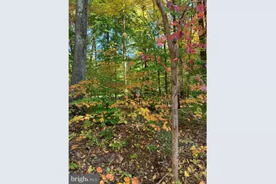 2220 Old Bethlehem Pike #B, Sellersville, PA 18960 - Photo 17