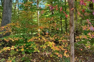 2220 Old Bethlehem Pike, Sellersville, PA 18960 - Photo 17