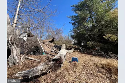 1165 Apple Road, Quakertown, PA 18951 - Photo 41