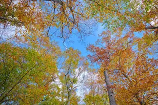 137 Wells Rd, Doylestown, PA 18901 - Photo 87