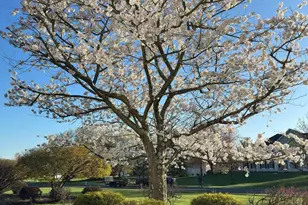 2062 Silverwood Dr, Newtown, PA 18940 - Photo 49