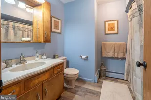 77 Uhlerstown Hill Rd, Erwinna, PA 18920 - Photo 19