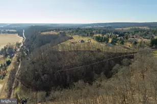 77 Uhlerstown Hill Rd, Erwinna, PA 18920 - Photo 59