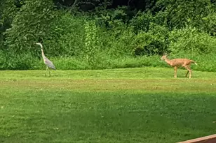 1550 Doe Trail Ln, Yardley, PA 19067 - Photo 35