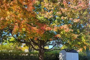 168 Walton Dr, Morrisville, PA 19067 - Photo 33