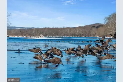 2 Cedar Lane, Erwinna, PA 18920 - Photo 39