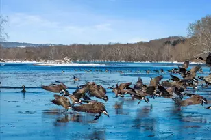 2 Cedar Ln, Erwinna, PA 18920 - Photo 39