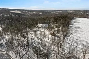 2 Cedar Ln, Erwinna, PA 18920 - Photo 41