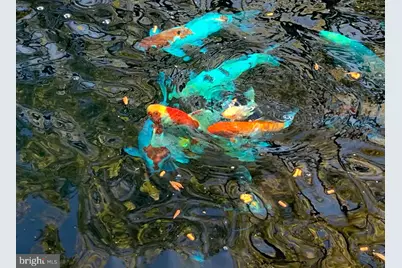 100 River Road, Point Pleasant, PA 18947 - Photo 73