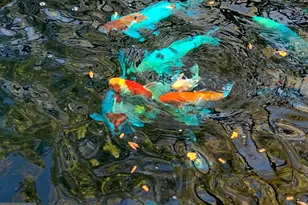 100 River Rd, Point Pleasant, PA 18947 - Photo 73