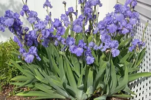 210 Cinnabar Ln, Yardley, PA 19067 - Photo 41