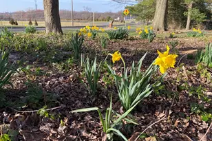 1901 Oxford Valley Rd, Yardley, PA 19067 - Photo 41