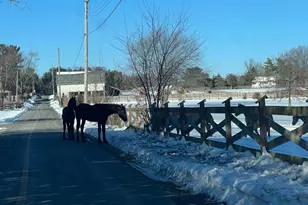 46 Buck Dr, Kintnersville, PA 18930 - Photo 5