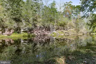 132 E Dark Hollow Rd, Pipersville, PA 18947 - Photo 59