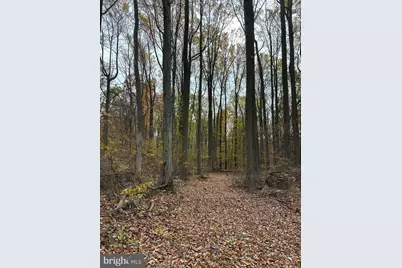 0 Reed Lane, Kintnersville, PA 18930 - Photo 3