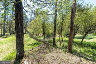 23 Lily Valley Rd, Erwinna, PA 18920 - Photo 73