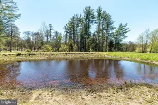 23 Lily Valley Rd, Erwinna, PA 18920 - Photo 61