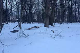 2918 Snake Hill Rd, Doylestown, PA 18902 - Photo 3