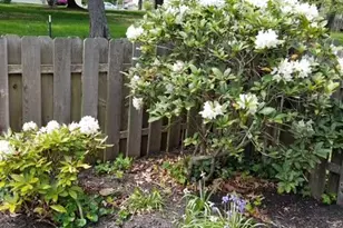 25 Independence Pl, Newtown, PA 18940 - Photo 29