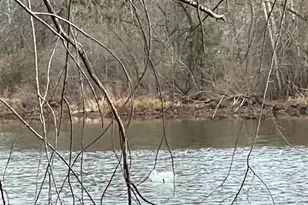 1112 General Saint Claire Rd, Washington Crossing, PA 18977 - Photo 3