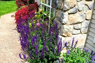 17 Randolph Ct, Newtown, PA 18940 - Photo 3