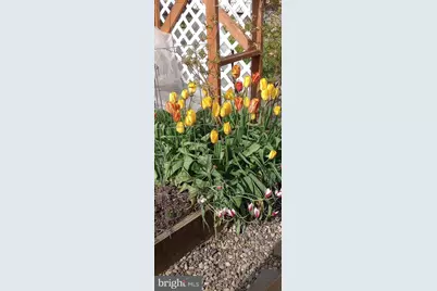 113 Cherry Street, Richlandtown, PA 18955 - Photo 55