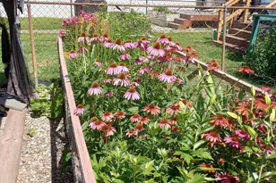 113 Cherry St, Richlandtown, PA 18955 - Photo 51