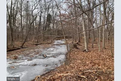 Lots 3 and 4 Taylorsville Road, Washington Crossing, PA 18977 - Photo 3