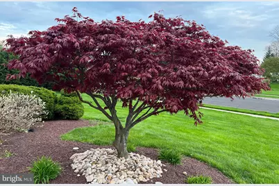 41 Shelbourne Road, Richboro, PA 18954 - Photo 17