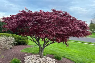 41 Shelbourne Rd, Richboro, PA 18954 - Photo 17