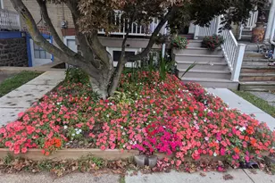 629 Juniper St, Quakertown, PA 18951 - Photo 53