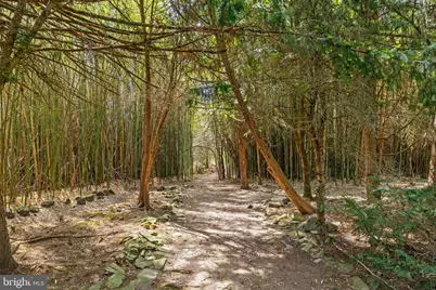 65 Covered Bridge Road, New Hope, PA 18938 - Photo 109