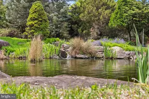 65 Covered Bridge Rd, New Hope, PA 18938 - Photo 99